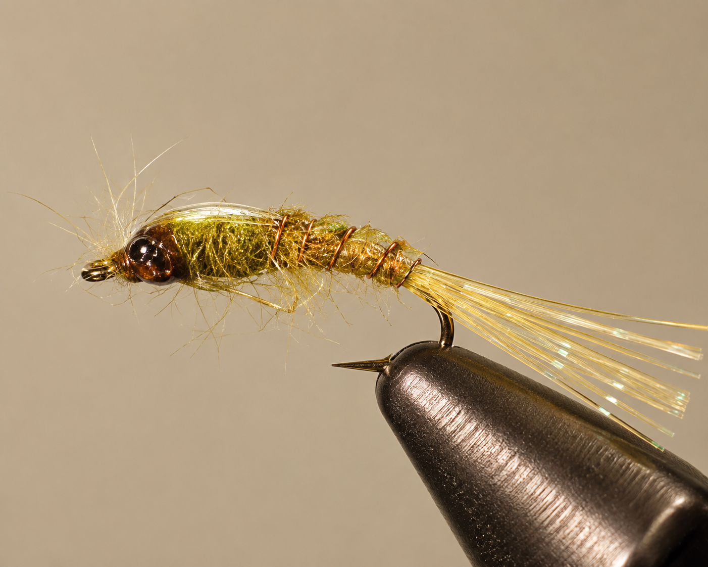 Damselfly Nymphs