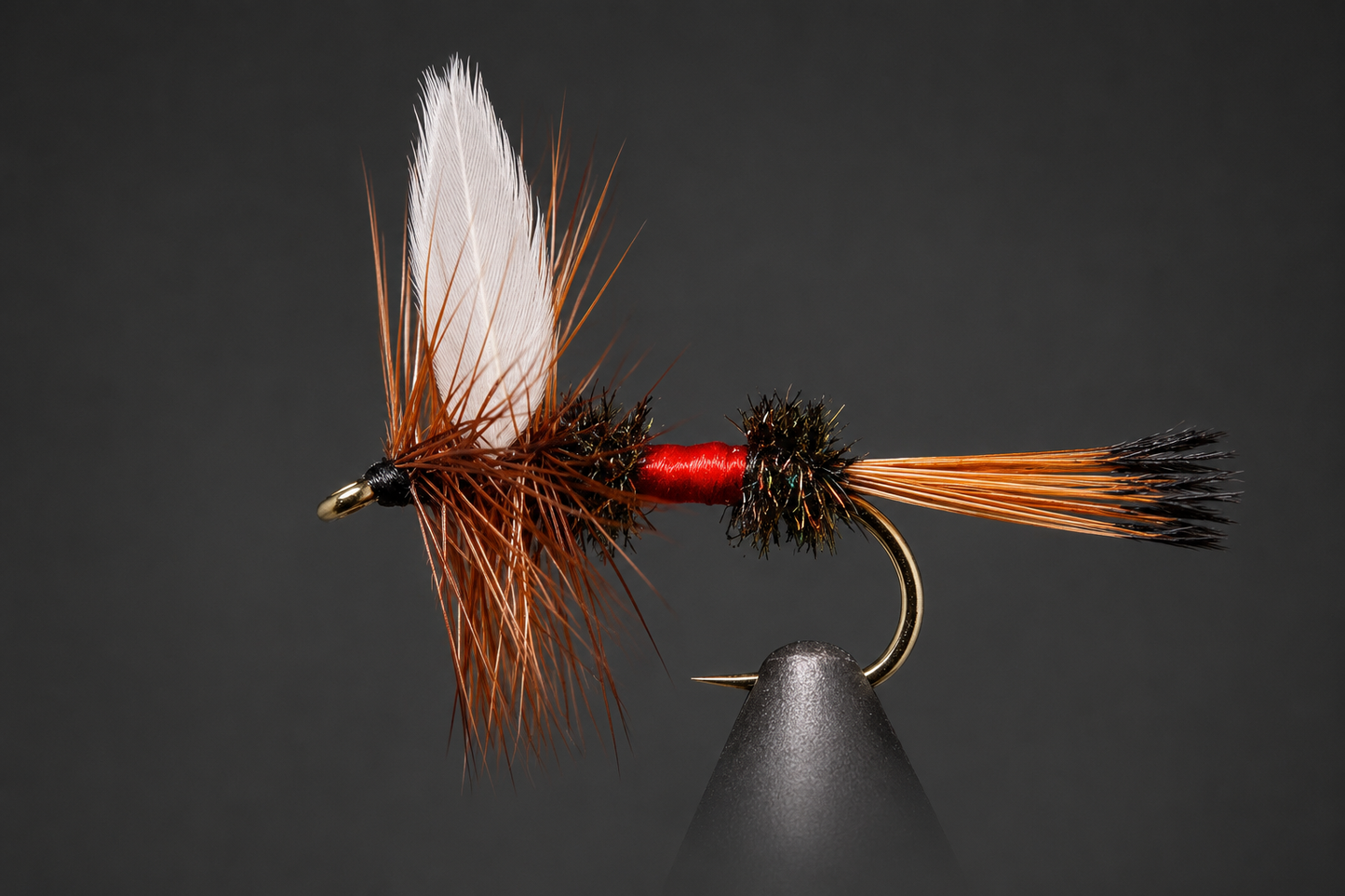 Royal Coachman