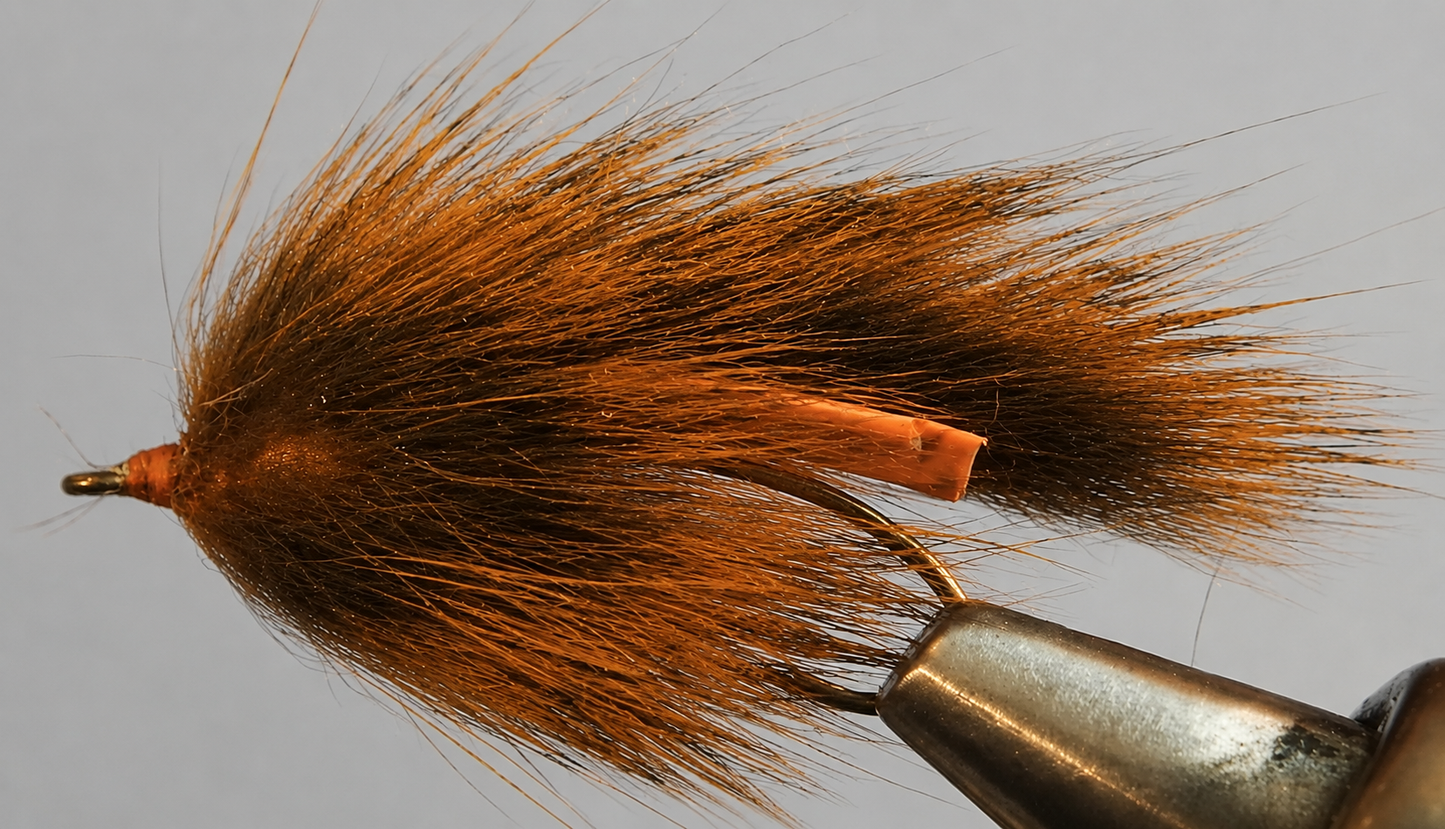 Pine Squirrel Leech