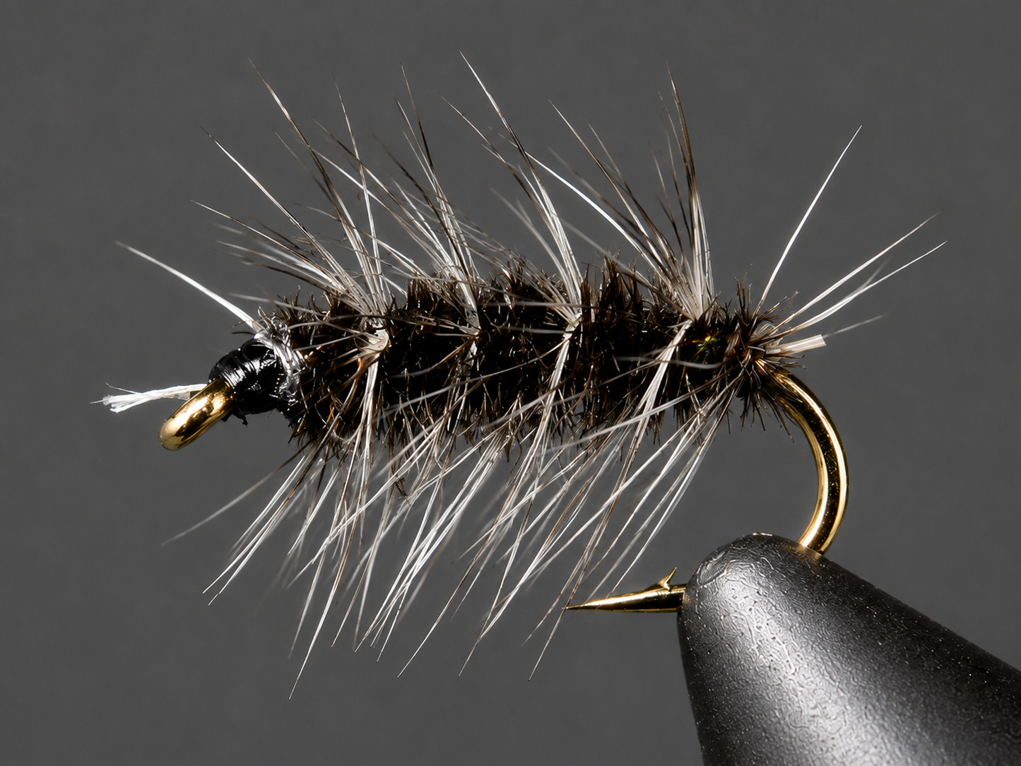 Griffith's Gnat