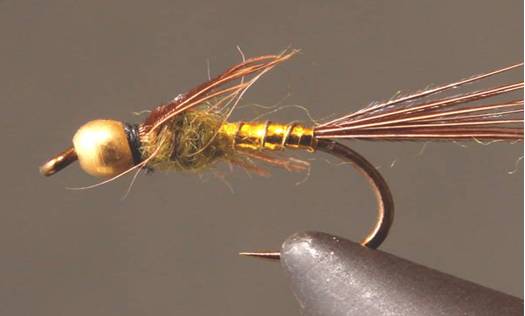 BH Lightning Bug - Gold