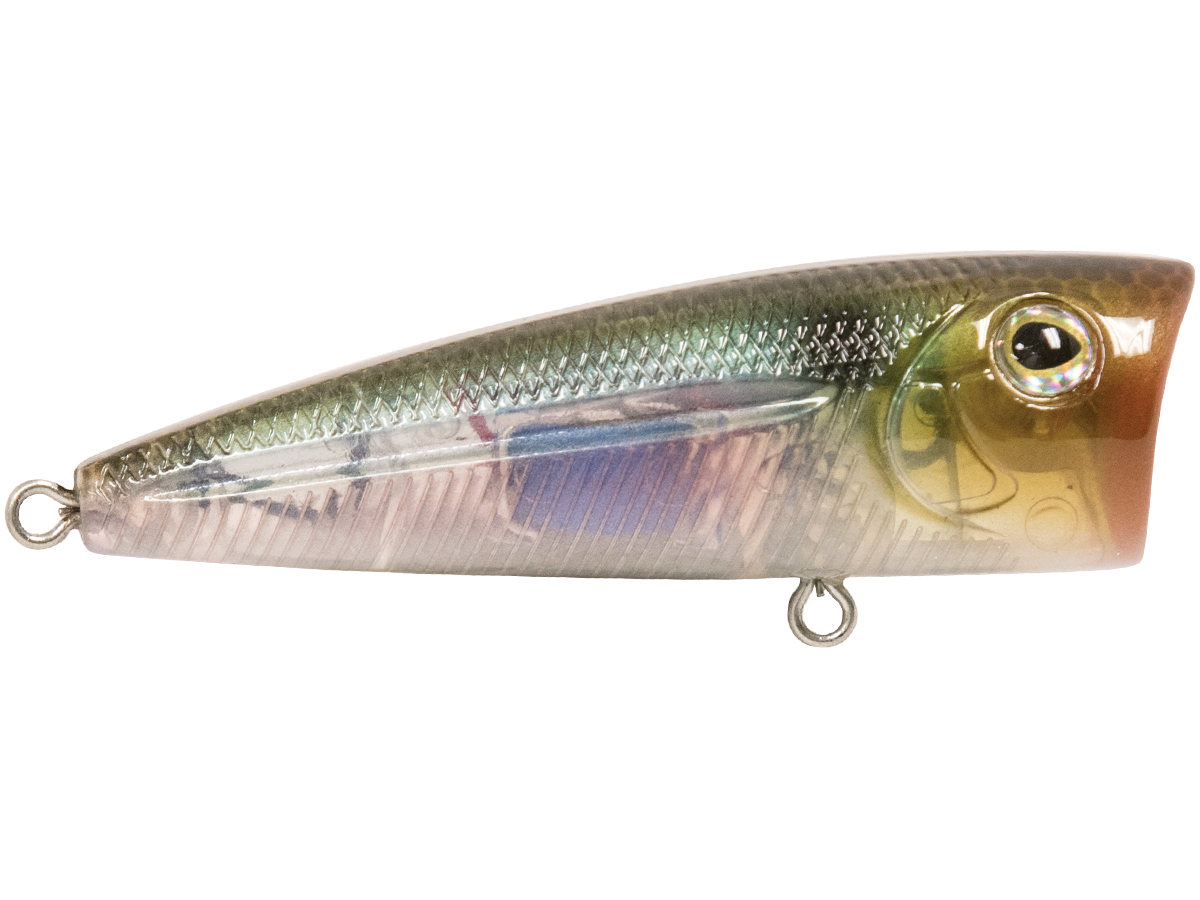Walk N Pop 67