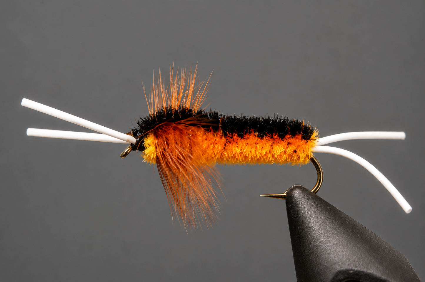 Bitch Creek Stonefly