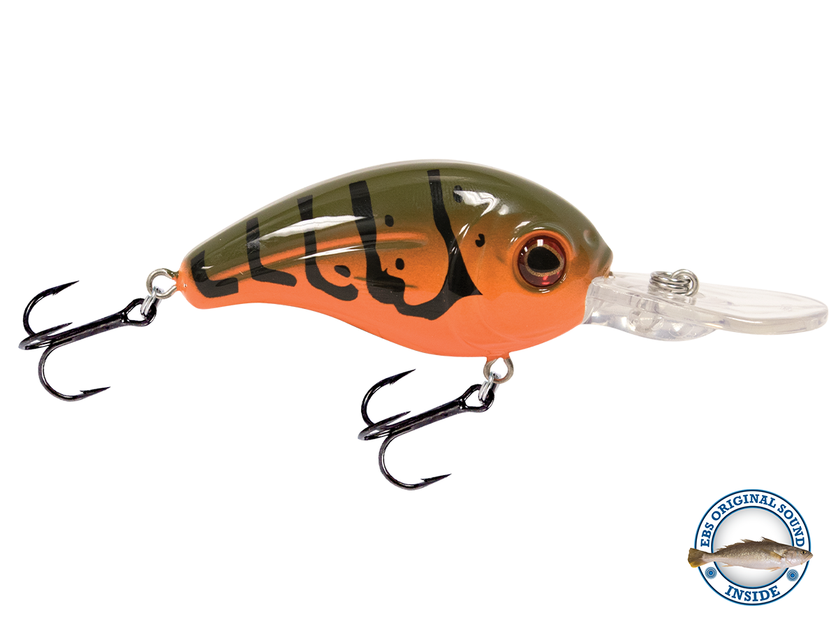 Dive Master Jr 8