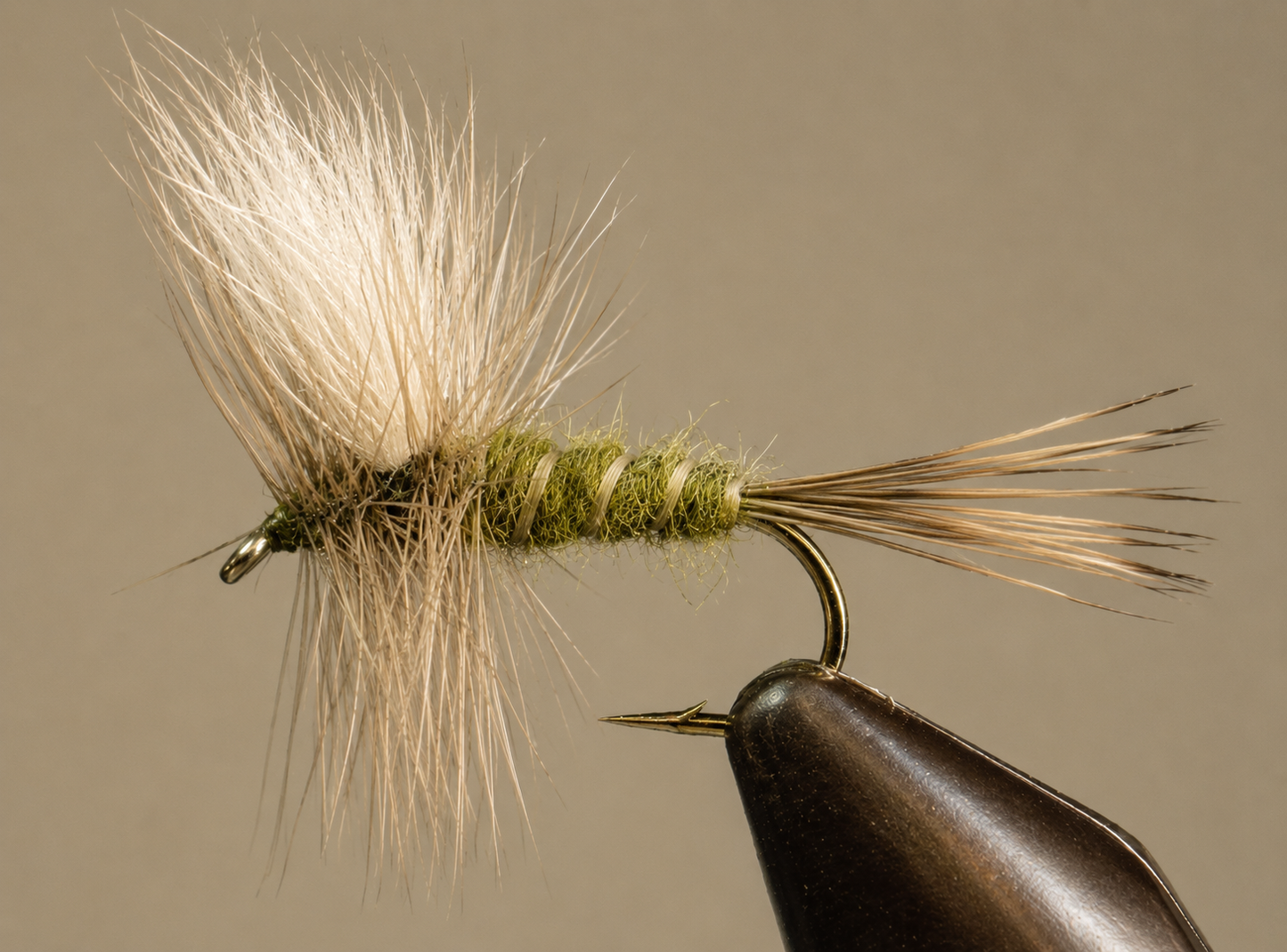Colorado Green Drake