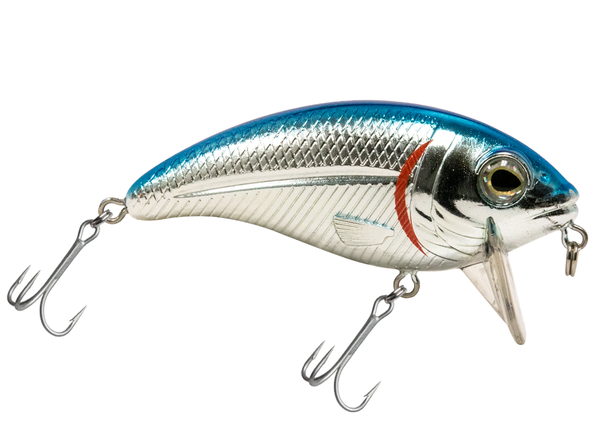 Bull Nose SW