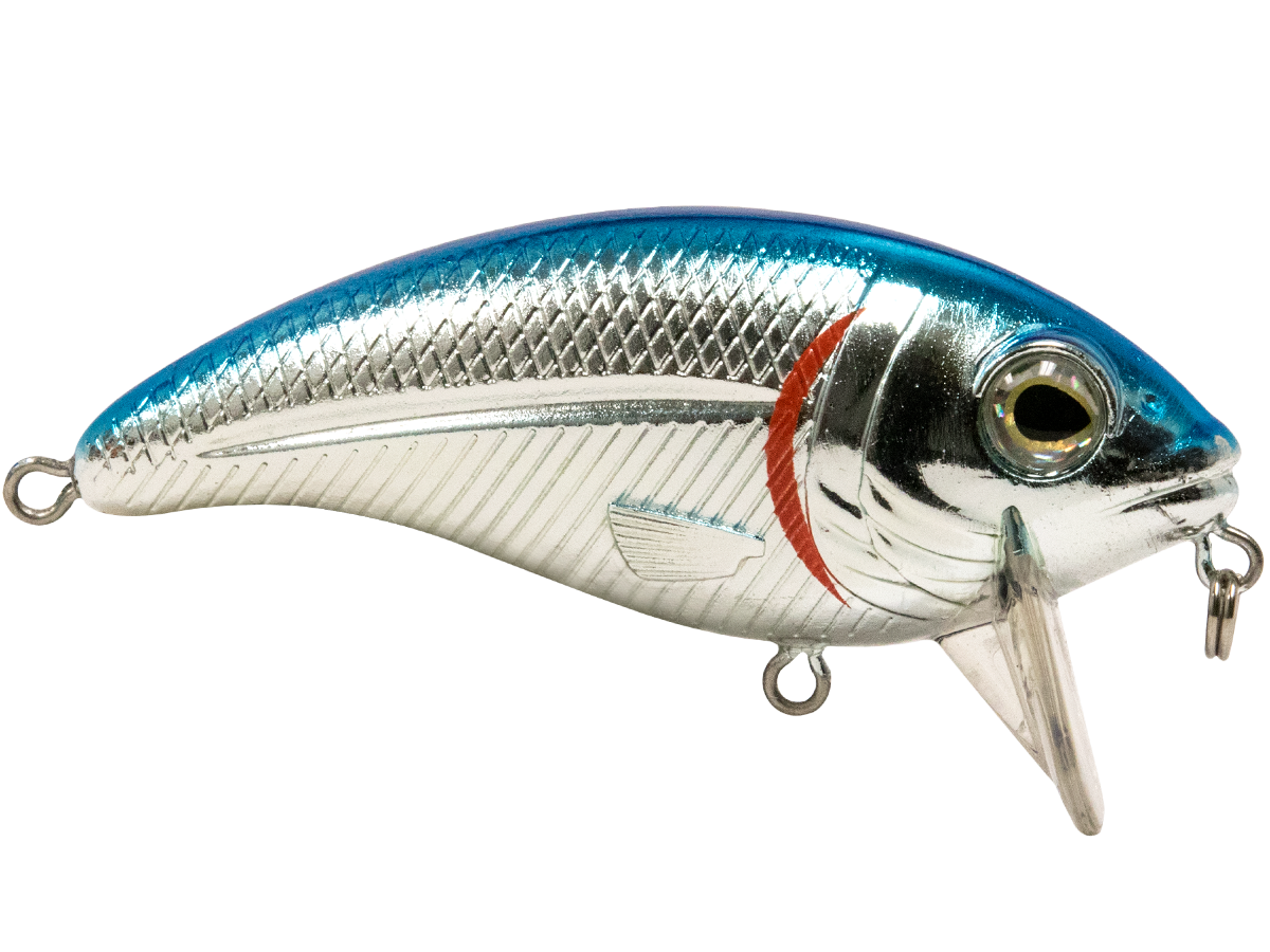 Bull Nose SW