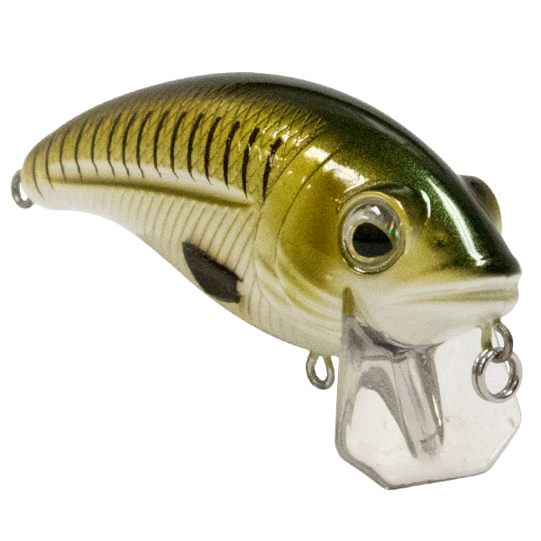 Bull Nose SW