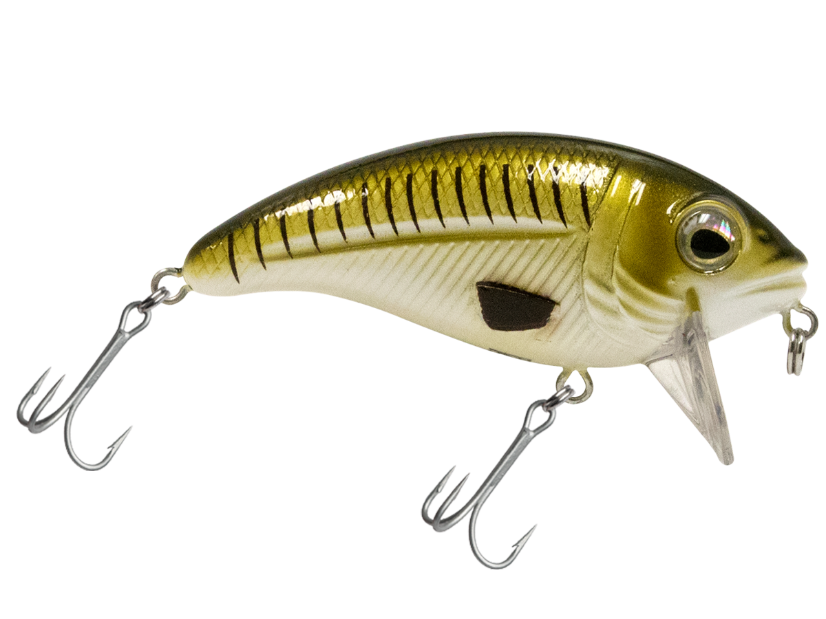 Bull Nose SW