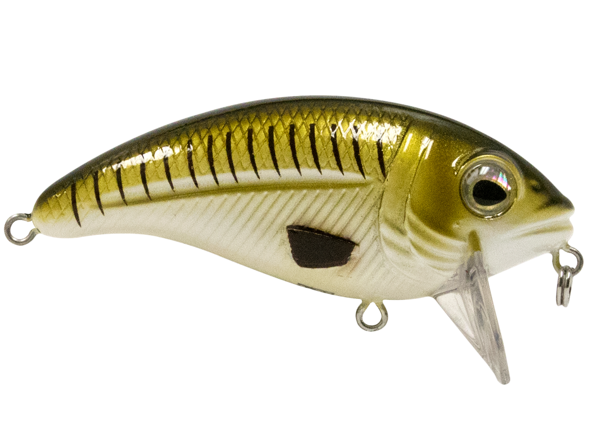 Bull Nose SW