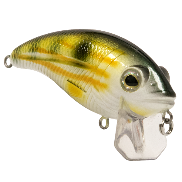 Bull Nose SW