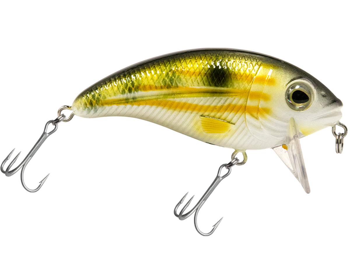 Bull Nose SW