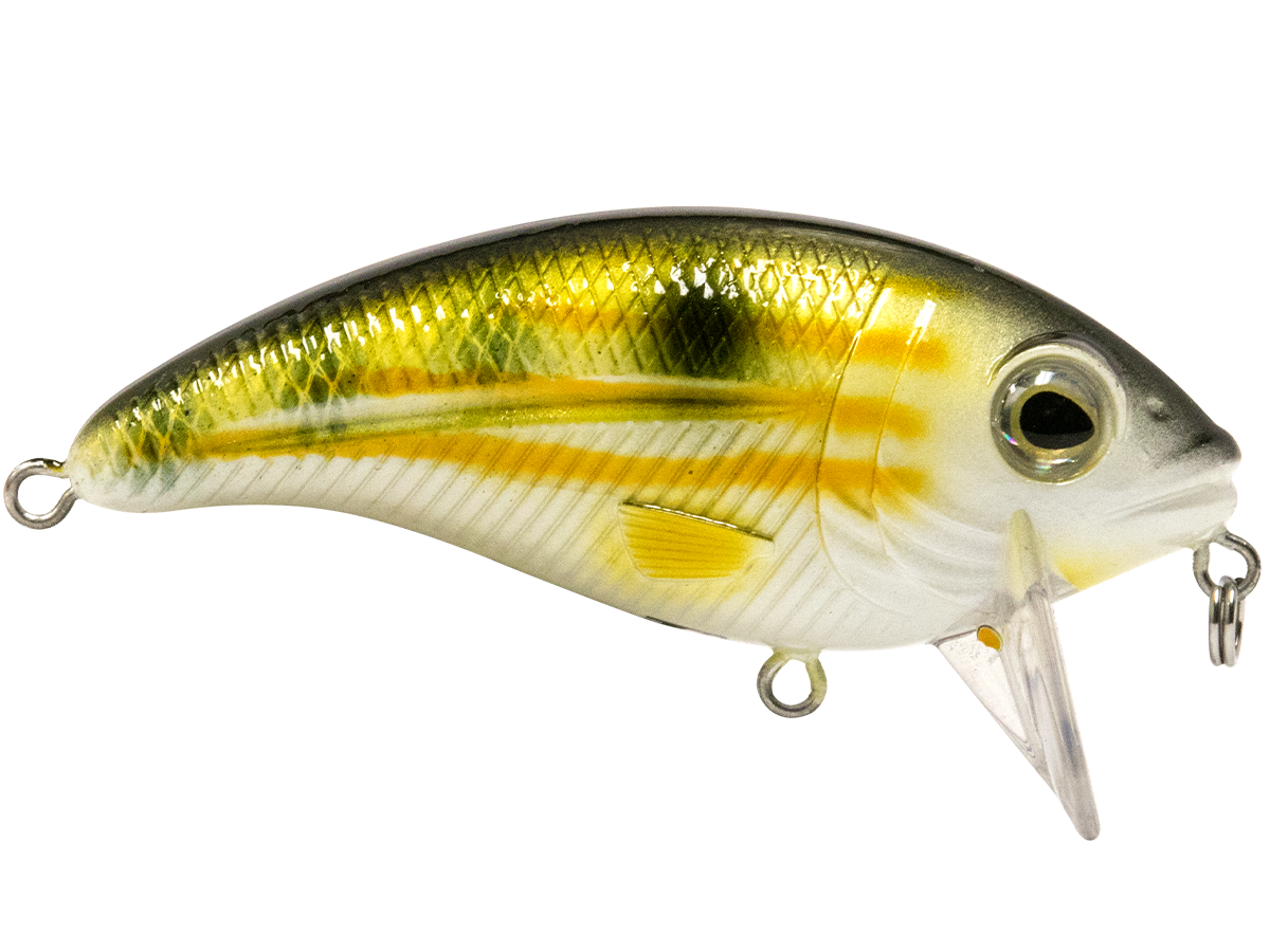 Bull Nose SW