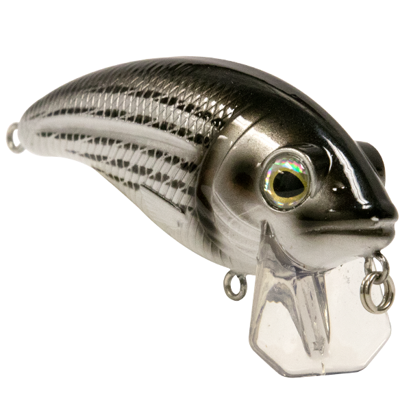 Bull Nose SW