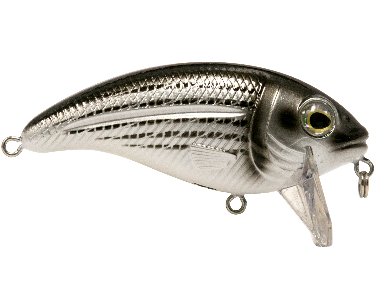 Bull Nose SW