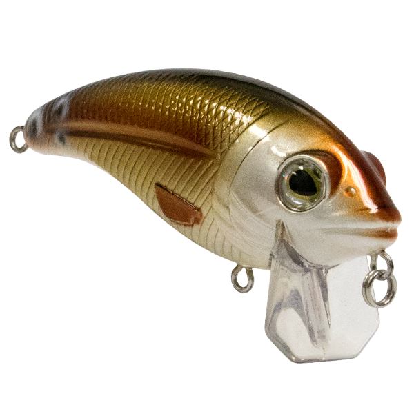 Bull Nose SW