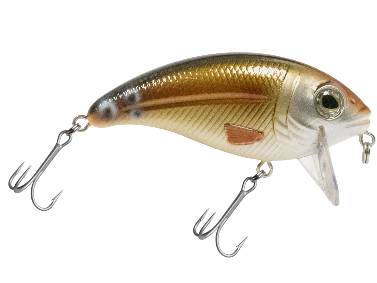 Bull Nose SW