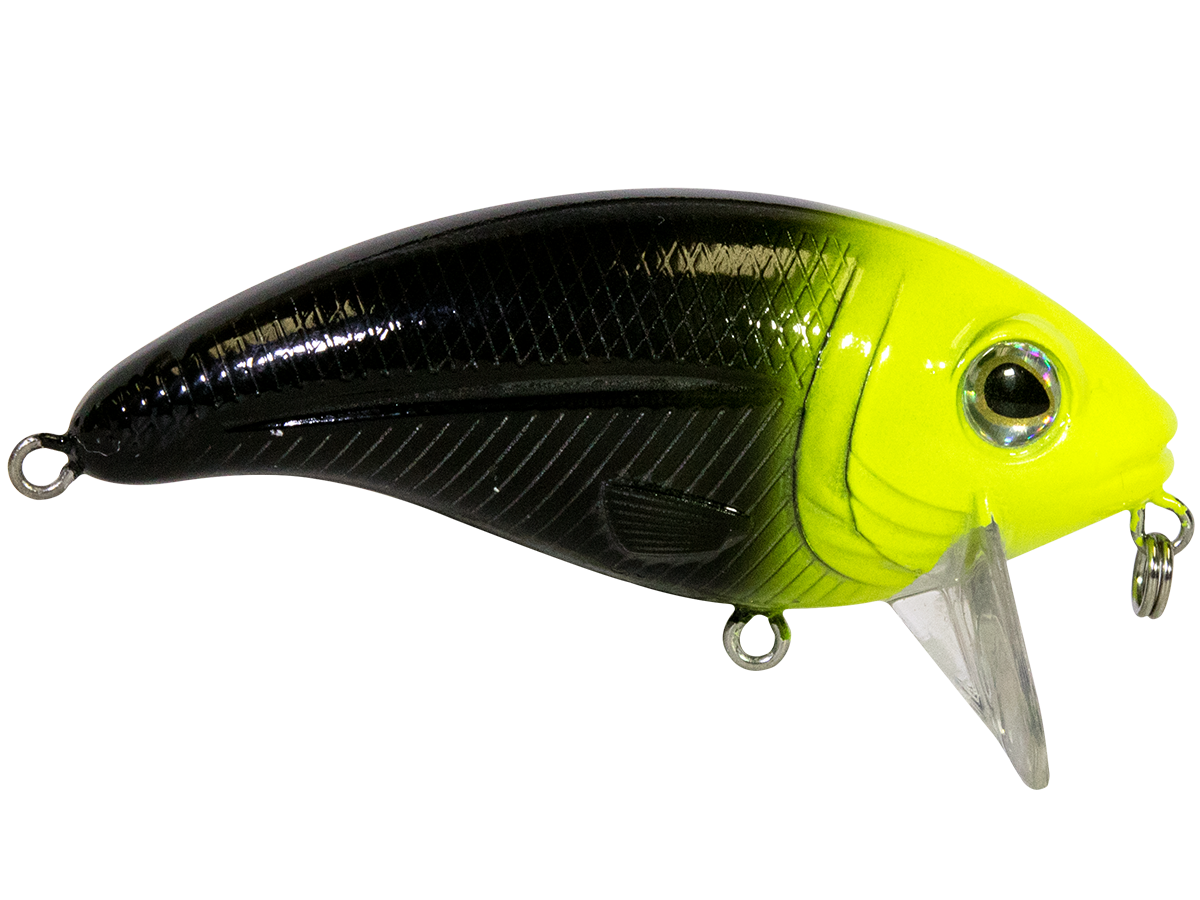 Bull Nose SW