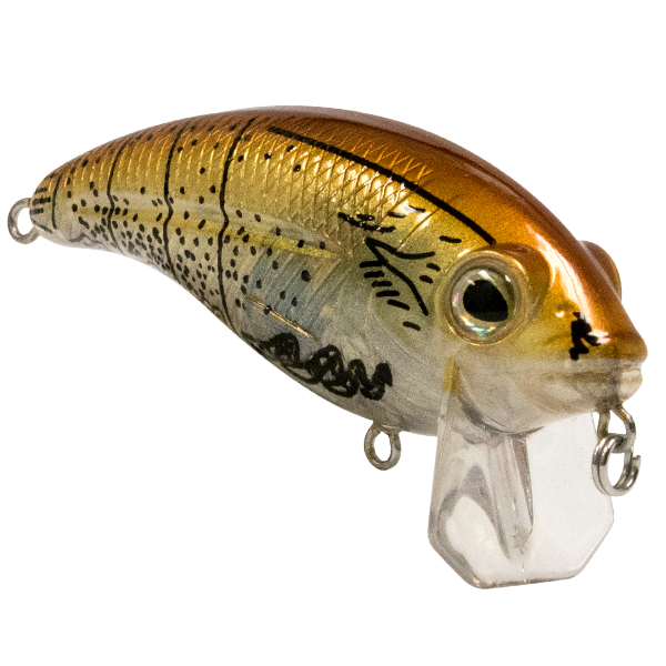 Bull Nose SW