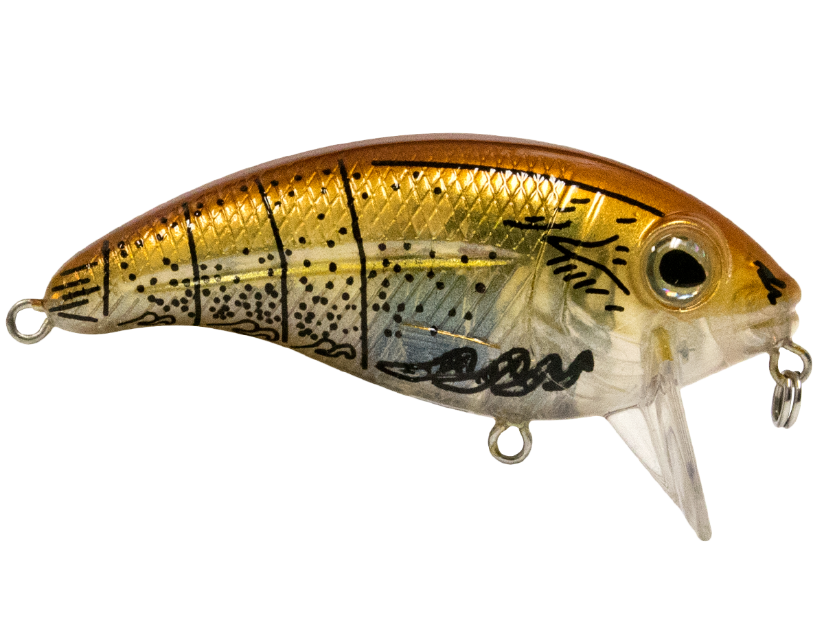 Bull Nose SW