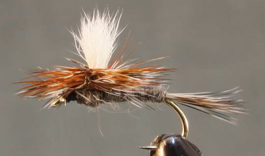 Adams Dry Fly - Standard & Parachute