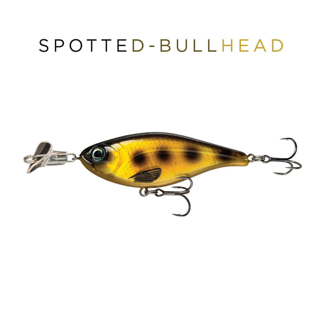 Headbanger Cranky Shad 4"