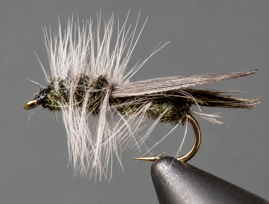 Hemingway Caddis