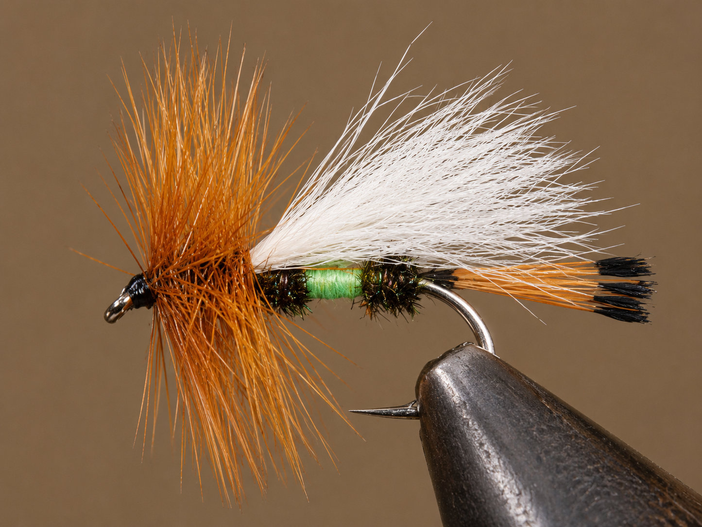 Royal Coachman Trude (Lime)