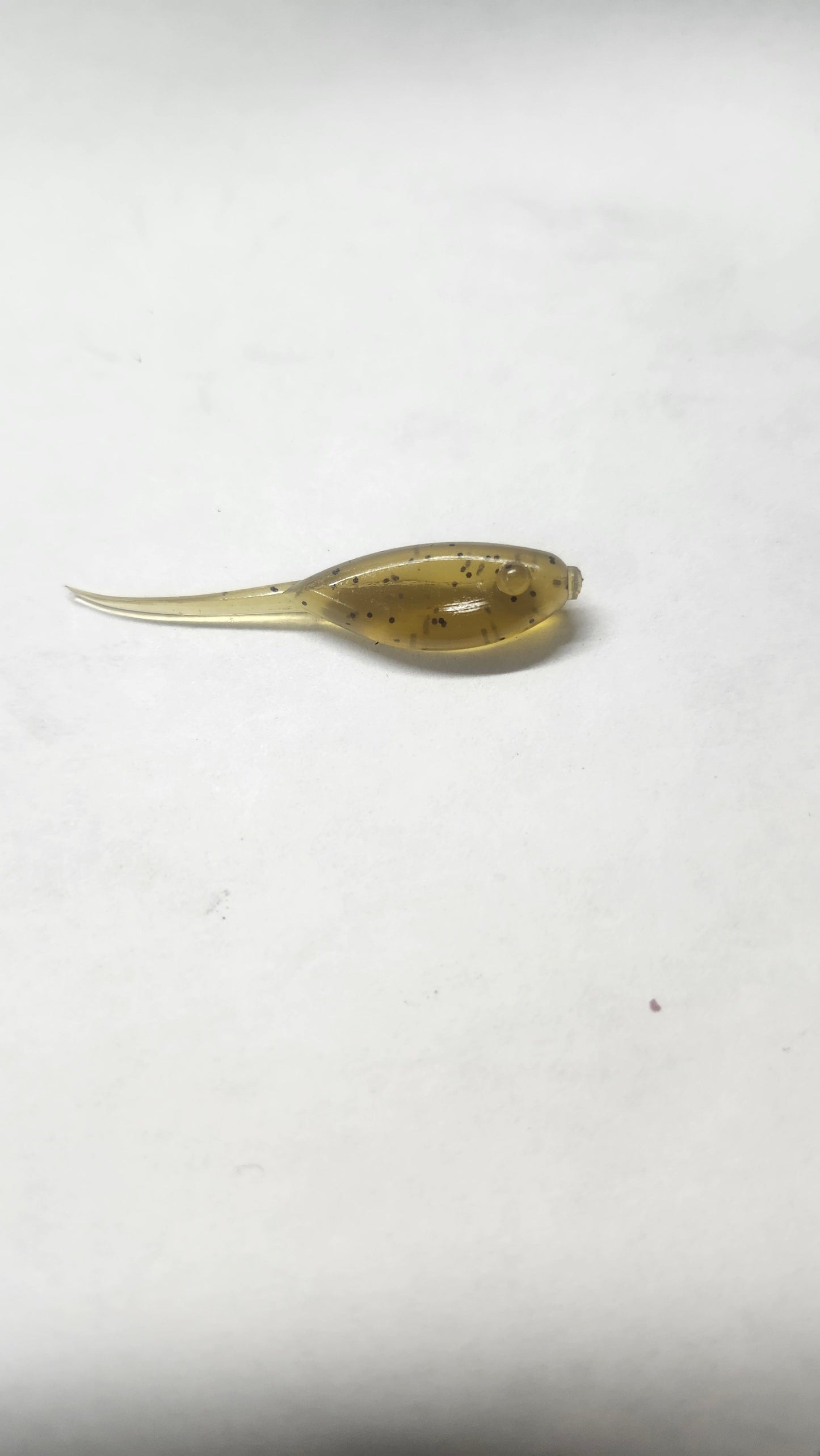 Little Minnow 1.5 Inch