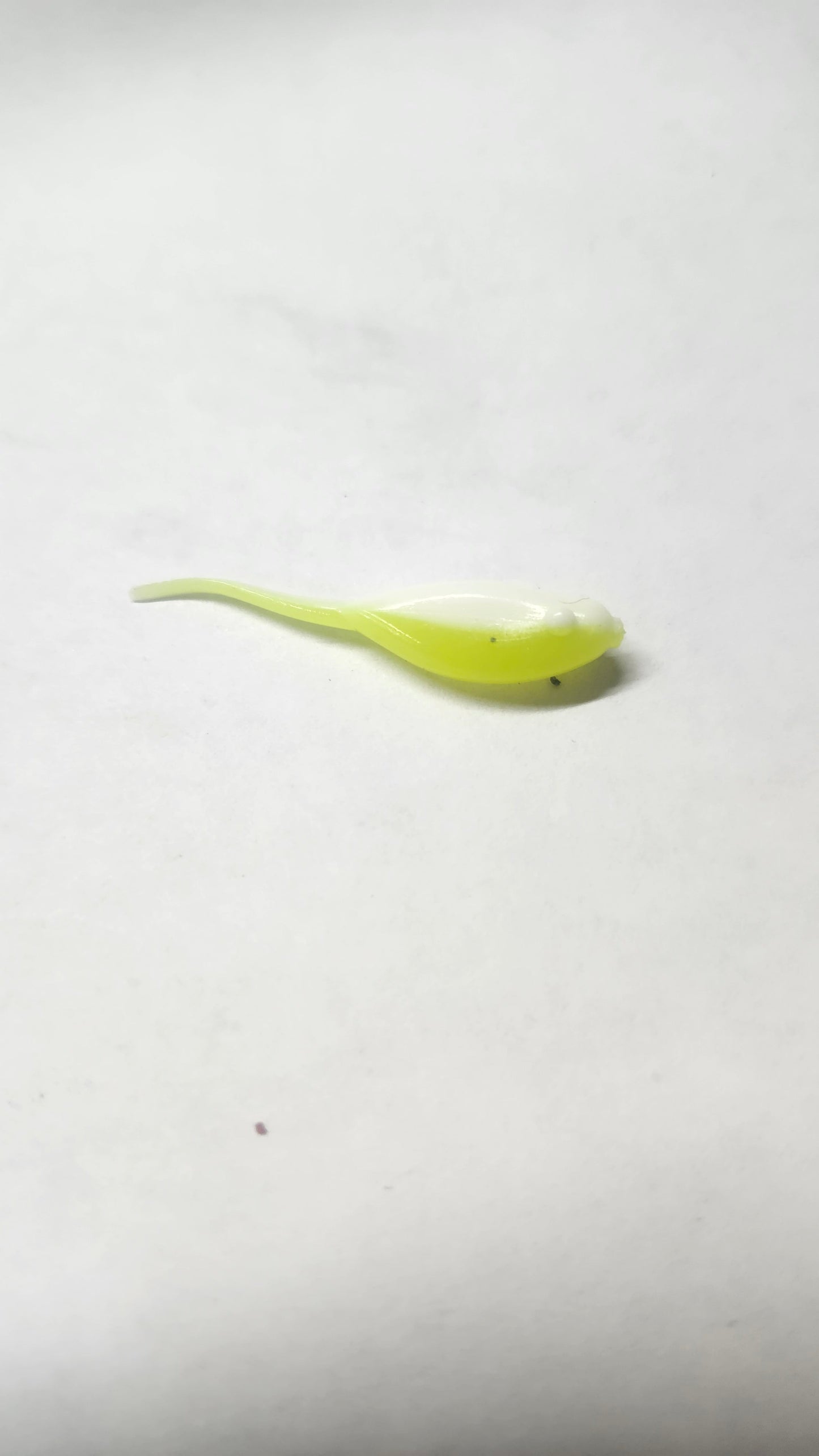 Little Minnow 1.5 Inch