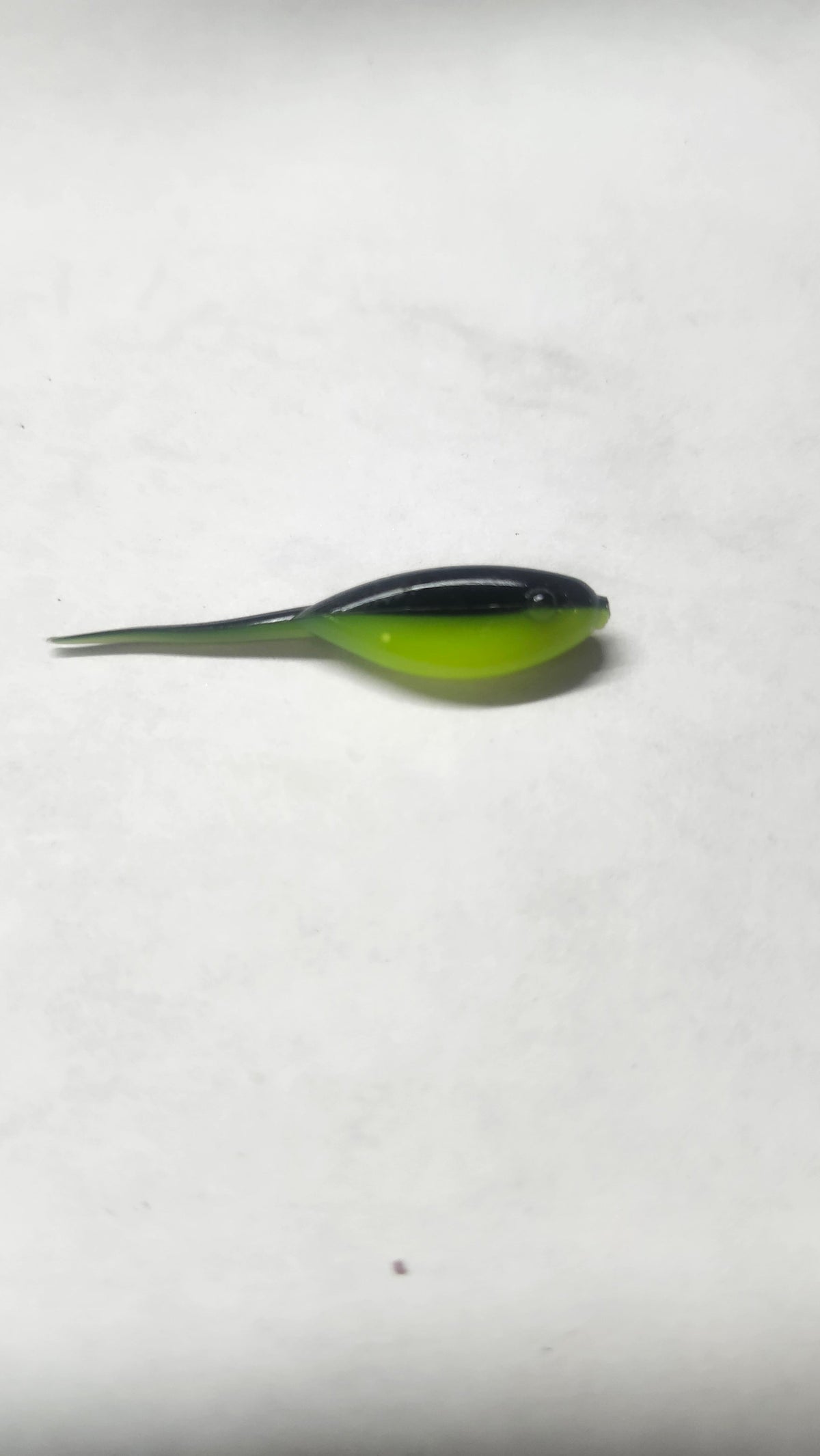 Little Minnow 1.5 Inch